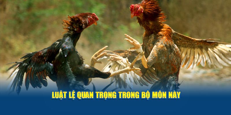 Luật lệ quan trọng trong bộ môn này